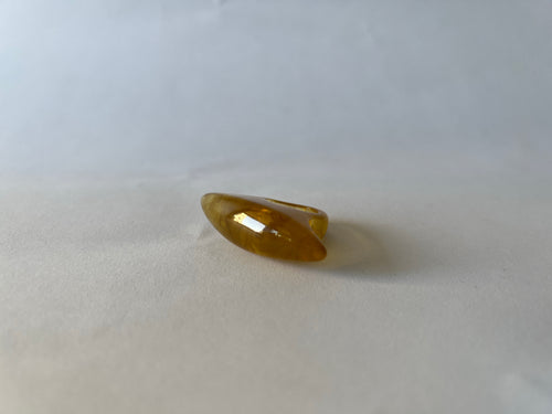 Anillo Pez Martillo